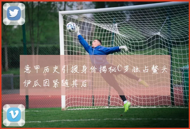意甲历史引援身价揭秘C罗独占鳌头伊瓜因紧随其后
