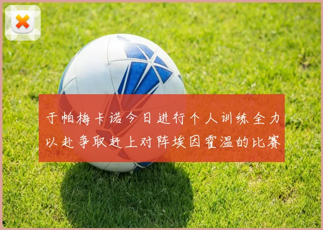 于帕梅卡诺今日进行个人训练全力以赴争取赶上对阵埃因霍温的比赛