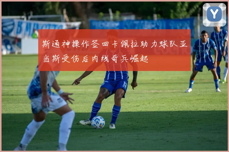 斯通神操作签回卡佩拉助力球队亚当斯受伤后内线奇兵崛起