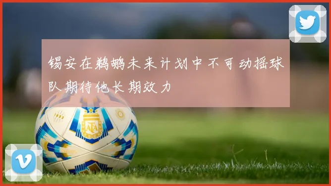 锡安在鹈鹕未来计划中不可动摇球队期待他长期效力