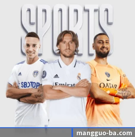 我们在做什么 | mangosports